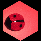 Ladybird or Ladybug Brooch by Lea Stein Paris (Sorry SOLD)