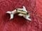 Little Ceramic Dolphin Brooch by Poole Pottery