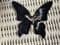 On hold Mod Style Butterfly Brooch  - Large Lea Stein  Butterfly Pin in Red, White and Black