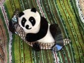 Panda Bear Brooch By Lea Stein of Paris (SOLD) - Panda on Bamboo branch Pin