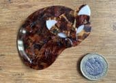 SOLD An Unusual Lea Stein Gomina the Sleepy Cat Brooch in Fabulous Tortoiseshell with a Difference!