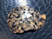 Sold Lea Stein Cat Brooch- Collectable Cat Pin Copper and Black Lurex Inlay