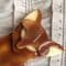 SOLD Lea Stein Egyptian Cat Brooch in Tortoiseshell Browns - Cat Pin