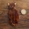 SOLD Lea Stein Egyptian Cat Brooch in Tortoiseshell Browns - Cat Pin