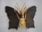 Sold Spanish Toledo Work -  Moth or Butterfly Brooch - 1950s