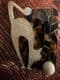 SOLD-  tortoiseshell panel  cream  cat