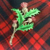 Traditional Thistle Brooch Pin in Enamel with Marcasite 1950s to 1960s Vintage(sold)