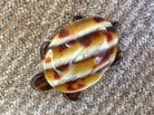 Turtle or Tortoise by Lea Stein Paris - tortoiseshell brown striped colouring (SOLD)