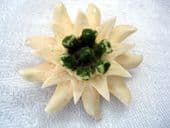 Vintage Carved Bone Edelweiss Flower Brooch (SOLD)