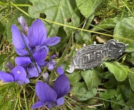 Violet Victorian  Name Brooch Hallmark Chester 1892
