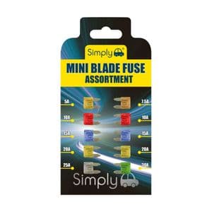 10 Piece Assorted Mini Blade Car Fuse Set
