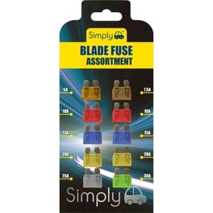 10 Piece Assorted Standard Blade Car Fuse Set