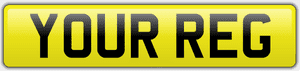 Rear Car Number/Registration Plate