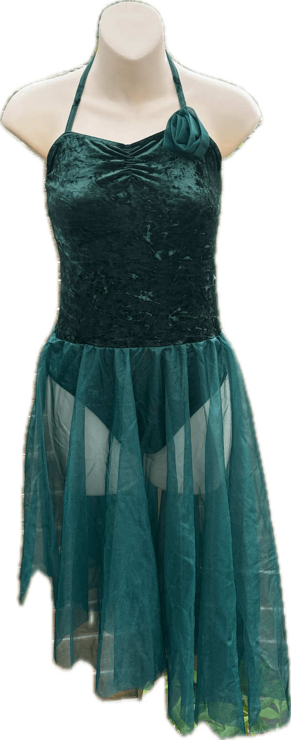 Dance Designs crushed velvet and net dress size 4