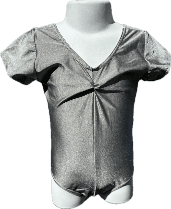 Silver Leotard size 0