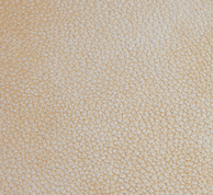 Embossed Leather - Gold