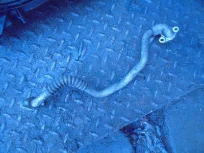 toyota avensis t27 2.0 d4d - egr pipe