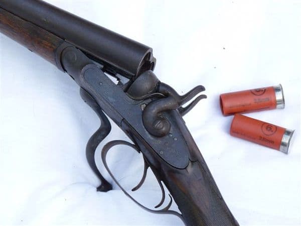 Deactivated 12-bore C.G Edwards hammer shotgun SOLD