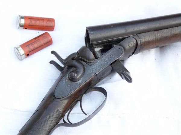 Deactivated 12-bore C.G Edwards hammer shotgun SOLD