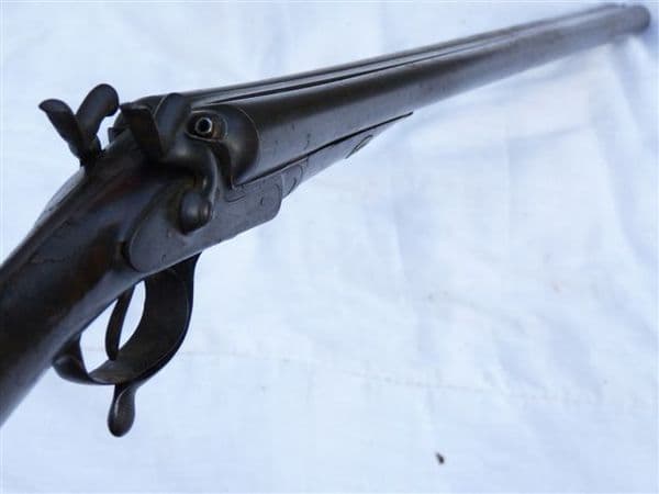 Deactivated 12-bore C.G Edwards hammer shotgun SOLD