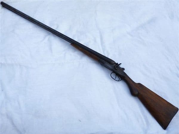 Deactivated Belgian made hammer action 12-bore shotgun SOLD