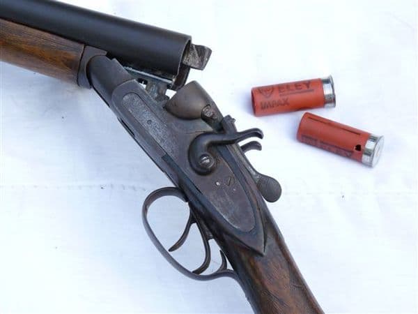 Deactivated Belgian made hammer action 12-bore shotgun SOLD