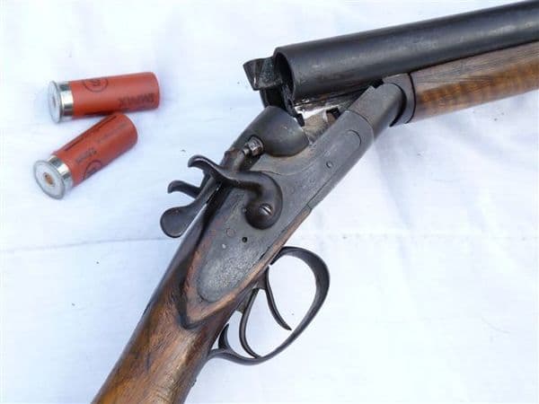 Deactivated Belgian made hammer action 12-bore shotgun SOLD