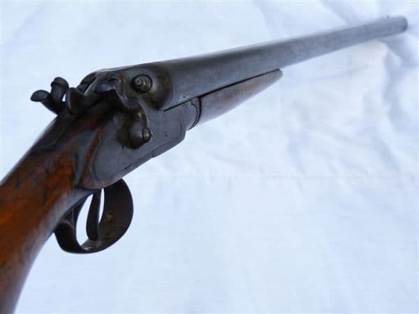 Deactivated Belgian made hammer action 12-bore shotgun SOLD