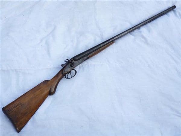 Deactivated Belgian made hammer action 12-bore shotgun SOLD