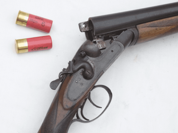 Deactivated British made Charles Osborne hammer 12-bore shotgun **SOLD**