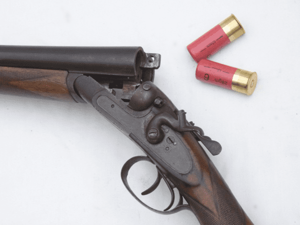 Deactivated British made Charles Osborne hammer 12-bore shotgun **SOLD**