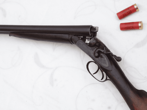 Deactivated Falcon Gun Company 12-bore hammer shotgun **SOLD**