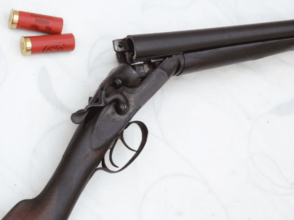 Deactivated Falcon Gun Company 12-bore hammer shotgun **SOLD**