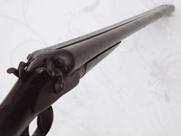 Deactivated Falcon Gun Company 12-bore hammer shotgun **SOLD**