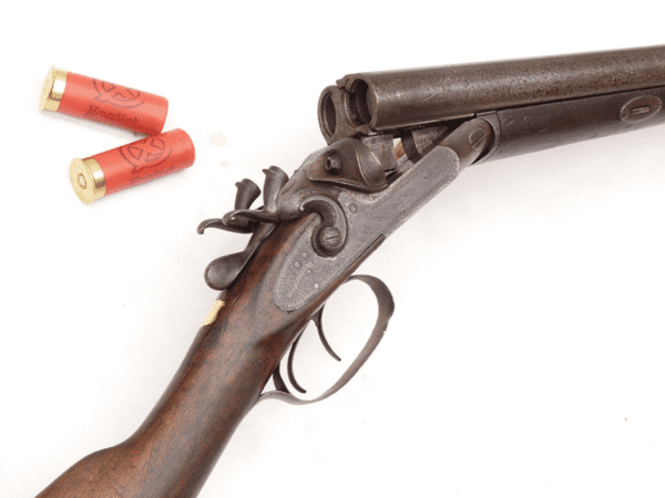 Deactivated James Squires 12-bore hammer shotgun **SOLD**