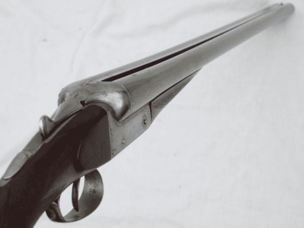 Deactivated Thomas Wild 12-bore boxlock shotgun  **SOLD**