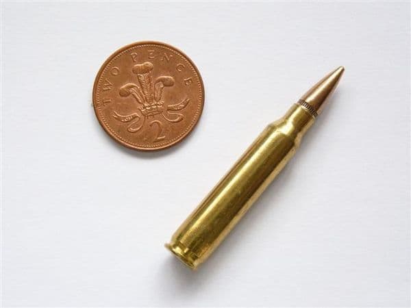 Inert 5.56 x 45mm NATO cartridge **OUT OF STOCK**
