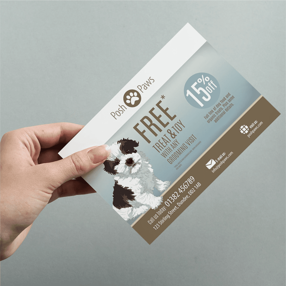 A6 Flat Leaflets/ Flyers