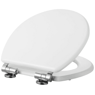 High Gloss White Toilet Seat