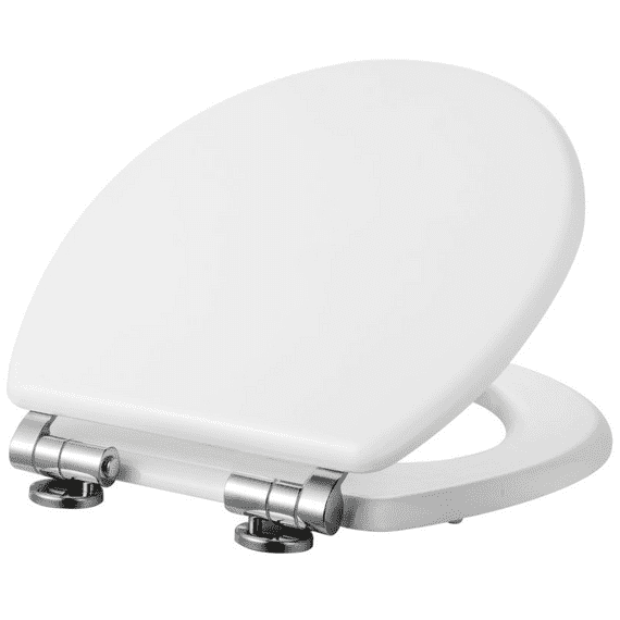 High Gloss White Toilet Seat