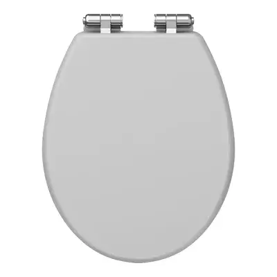 Light Grey Matt Toilet Seat
