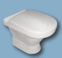 Armitage Shanks DOMINION compatible WC toilet seat (soft close)
