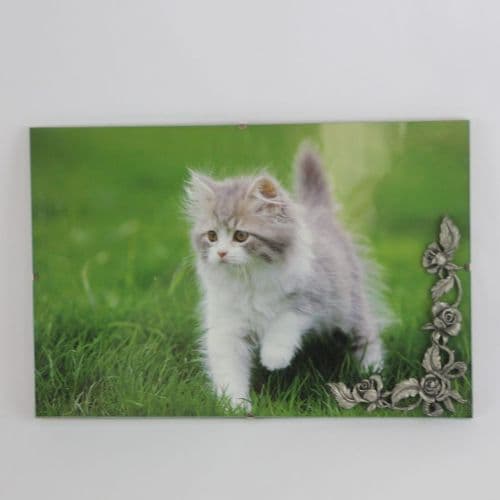 Cadre photo sous verre motif roses en étain (30x20cm)