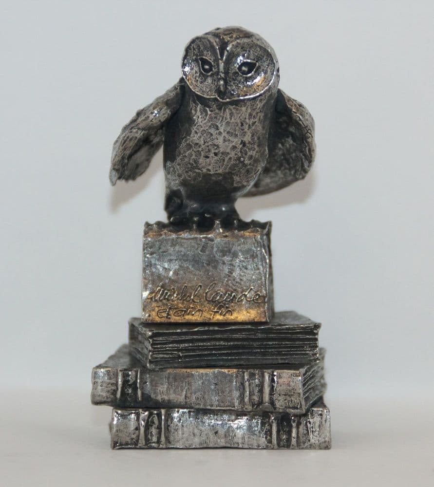 Chouette ailes ouvertes sur livres