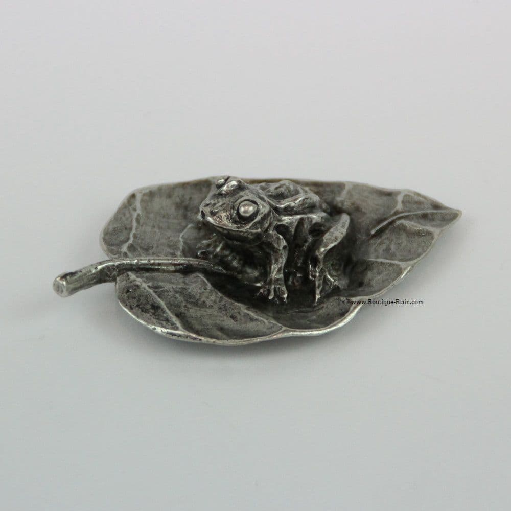 Grande grenouille sur feuille