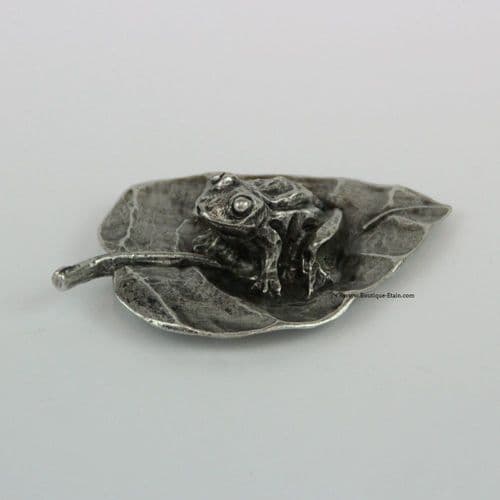 Grande grenouille sur feuille