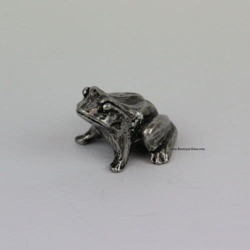 La petite grenouille en étain
