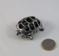 Tortue originale dite 