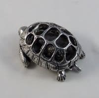 Tortue originale dite 
