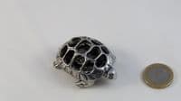 Tortue originale dite 